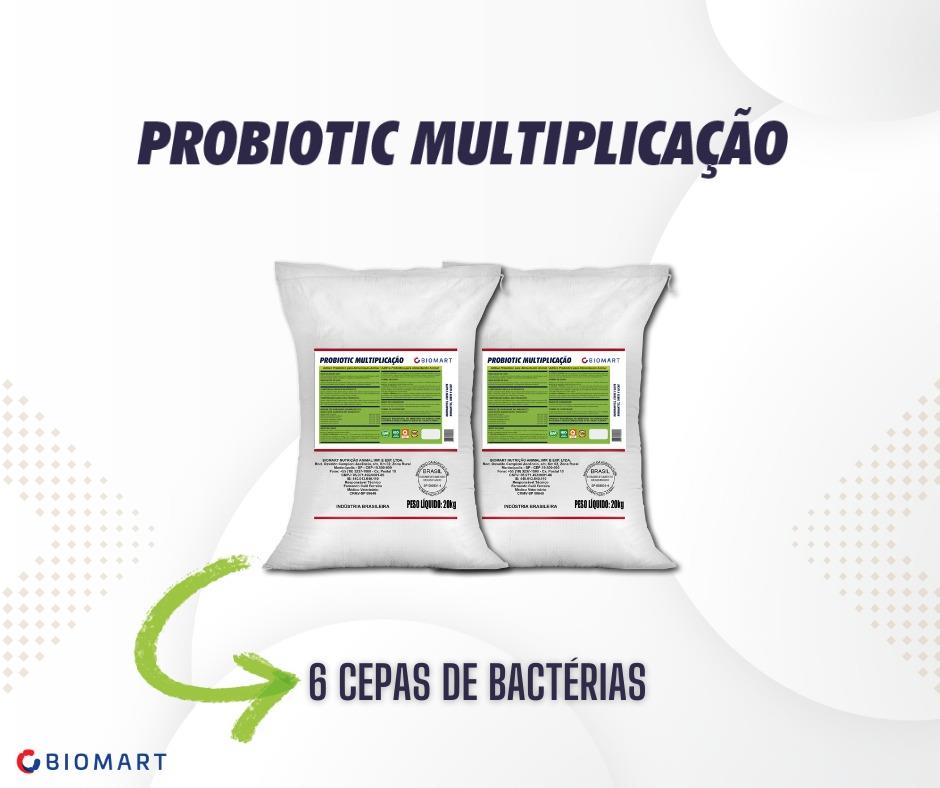 Probiótico